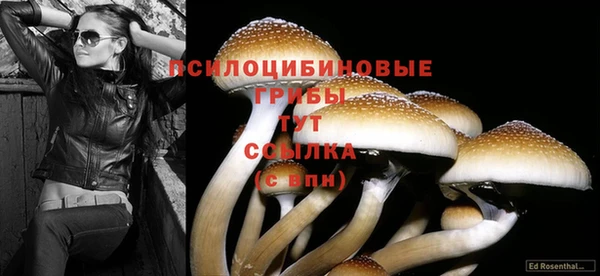 марихуана Аркадак