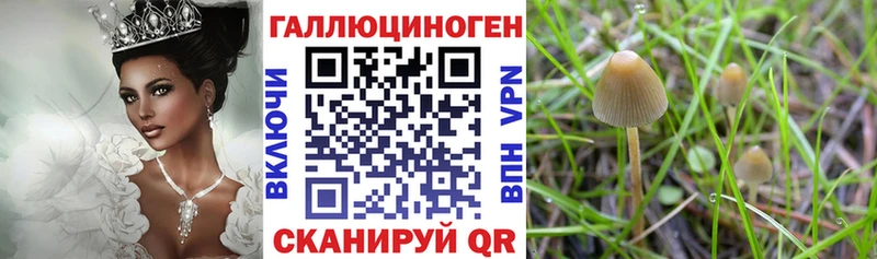 Галлюциногенные грибы MAGIC MUSHROOMS  Куйбышев 